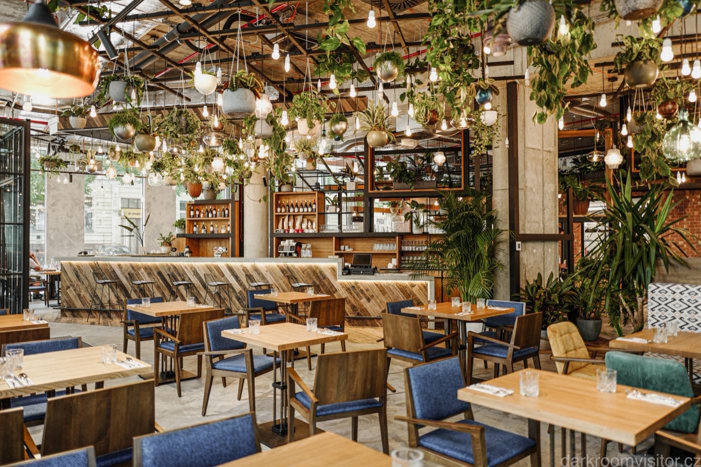 Dining room at Spojka Karlín with wooden tables, blue chairs and greenery hanging from the ceiling