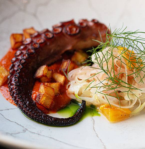 Grilled octopus tentacle with potatoes, tomato sauce and shaved fennel
